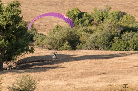 Finding Your Purpose in Life - Paraglider Cruising