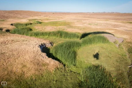 Shadow Photography: Creek