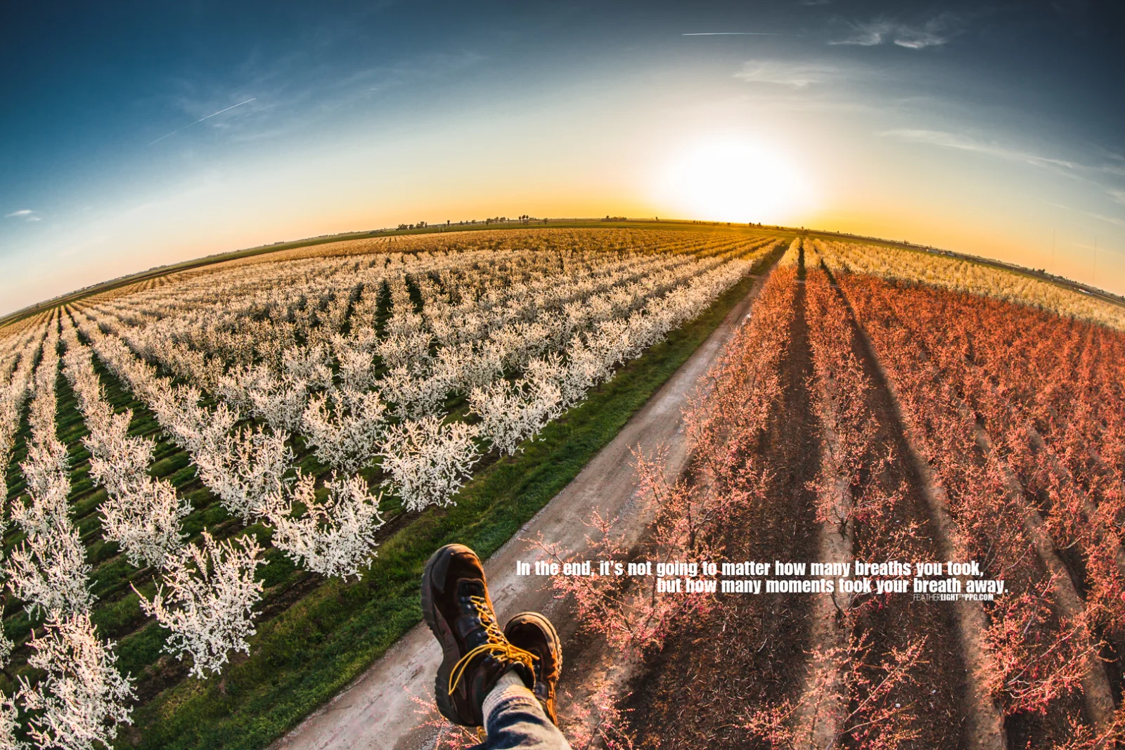 Aerial photography by paramotor