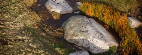 Native American Grinding Pits